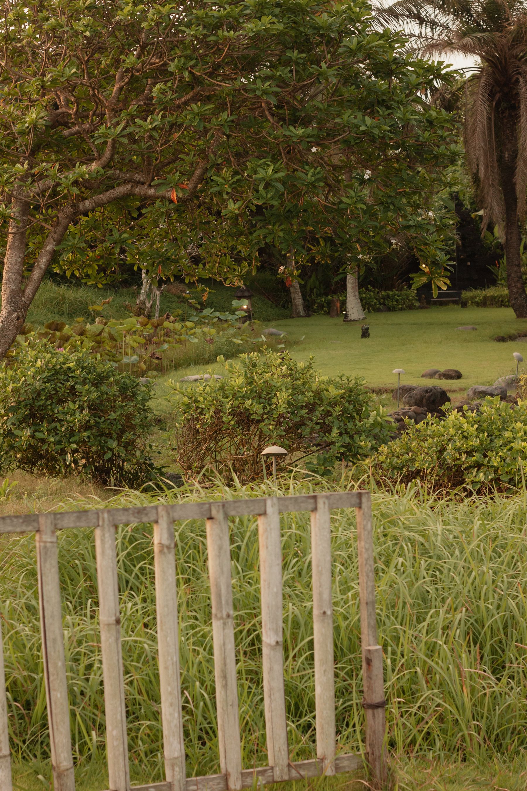 Timber garden fence with established planting providing natural privacy