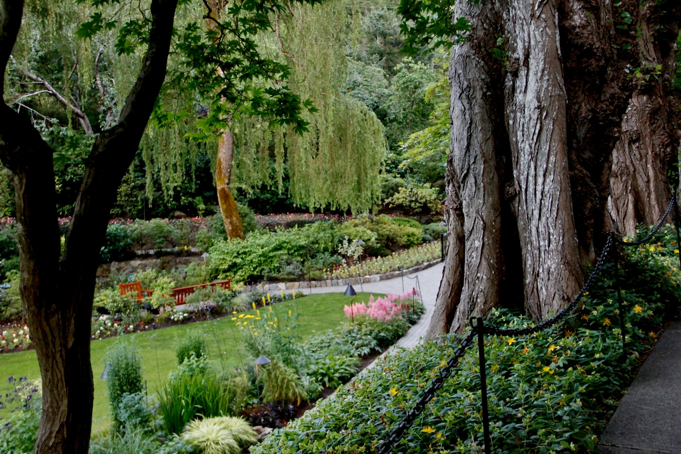 Cottage garden path surrounded by colourful flowers and layered planting